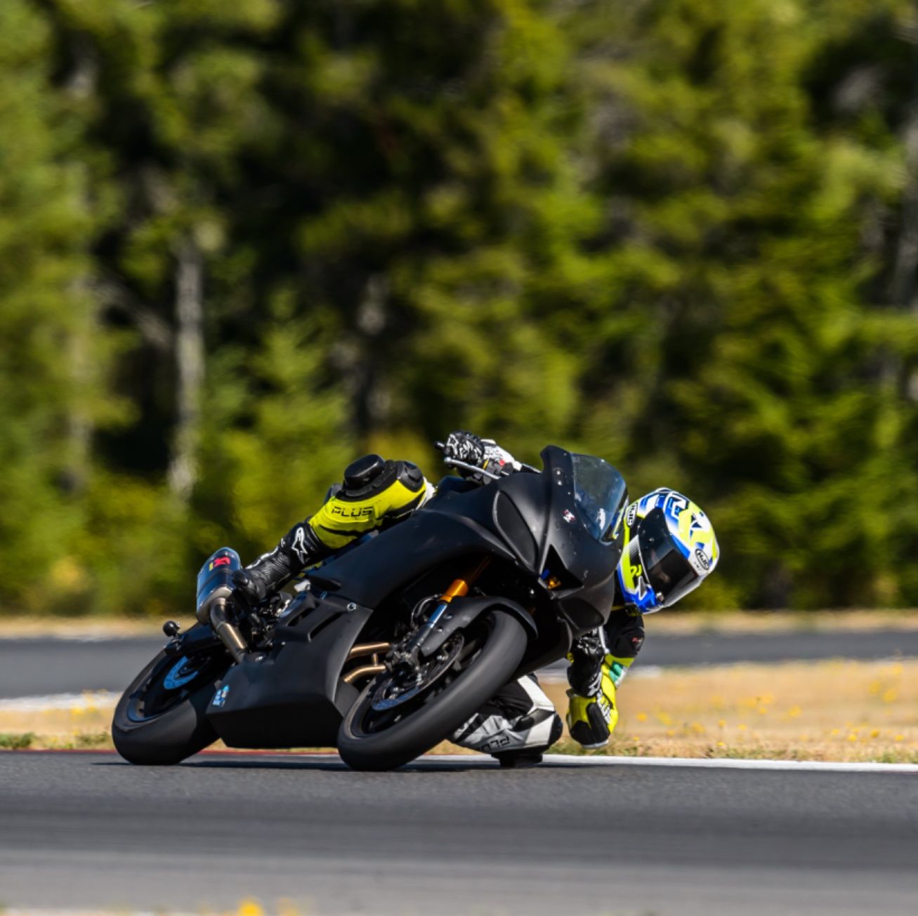 Profile of Santiago Bermudez