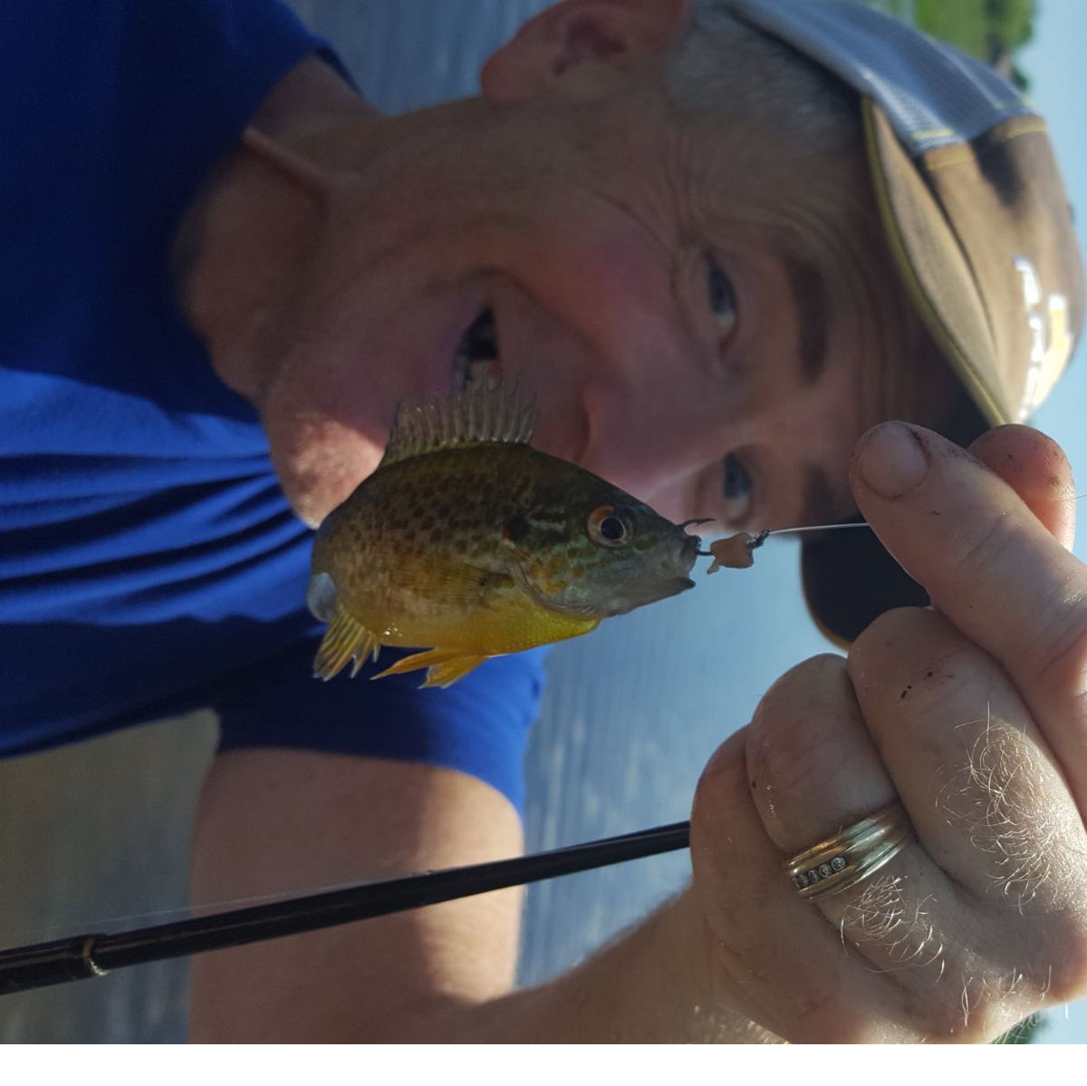Profile of Bob Guenthner