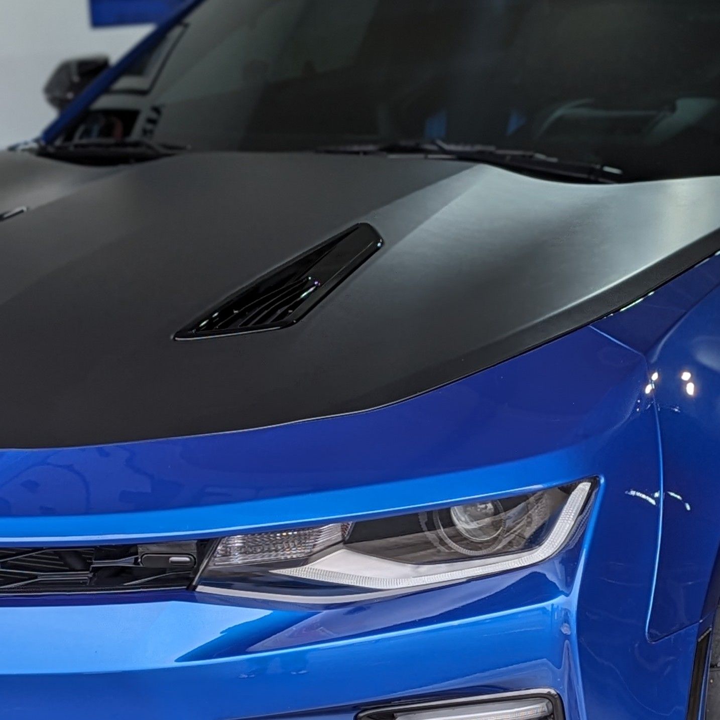 Profile of Lynne Frank