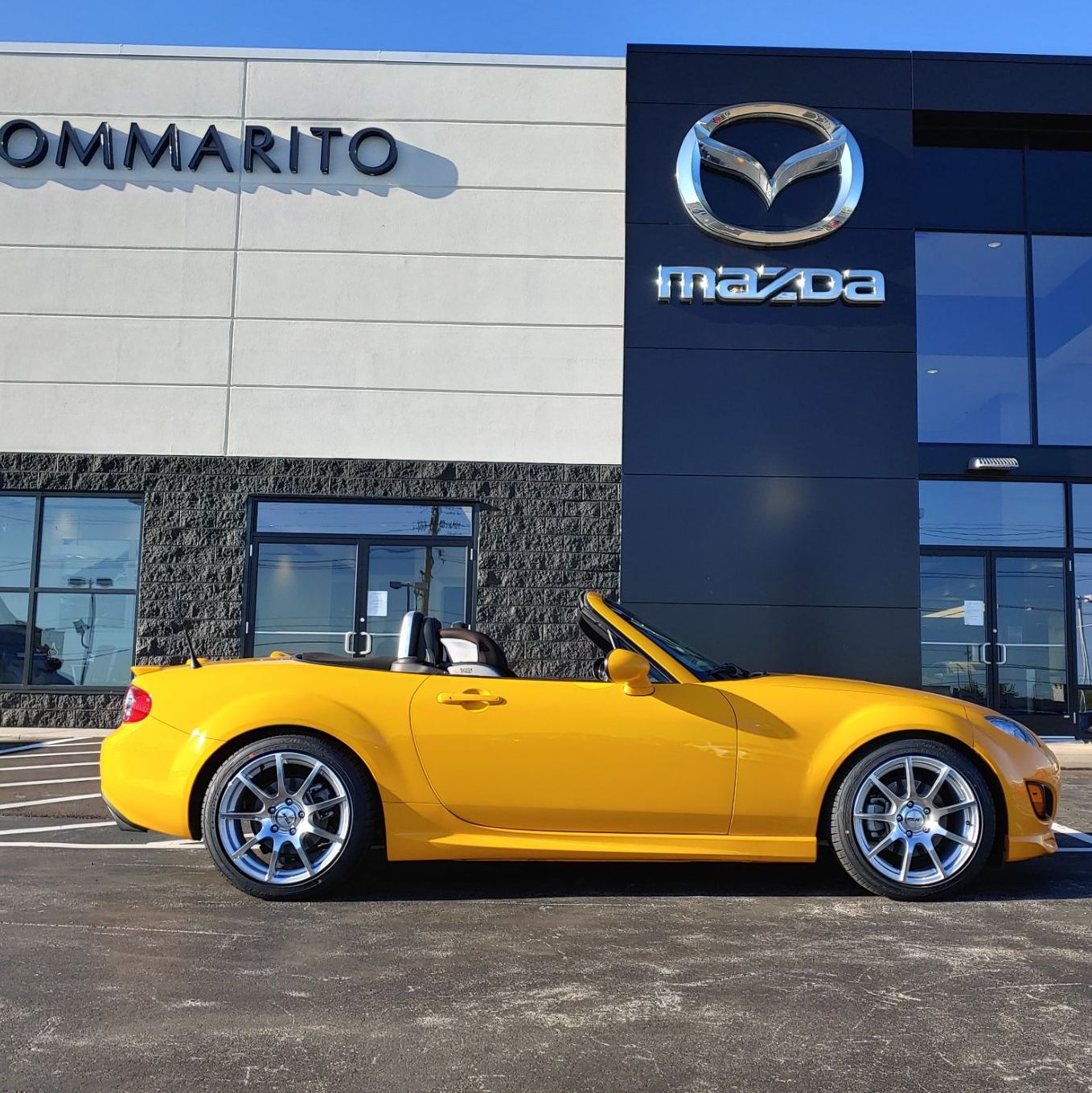 Profile of Mark Prewitt