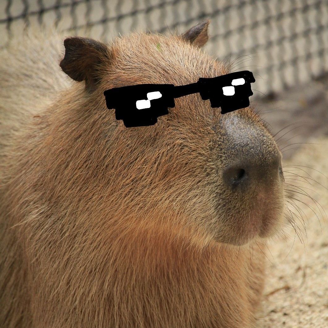 Profile of William White