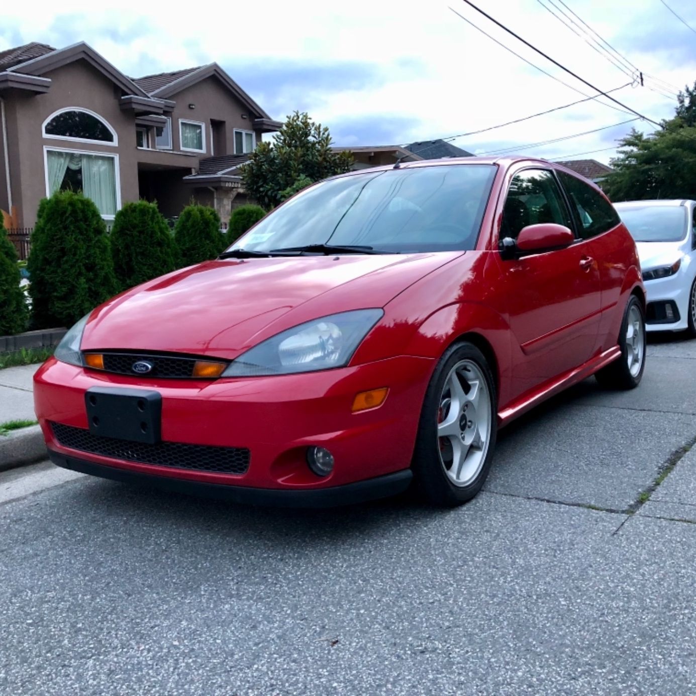 Profile of Sarah Cowan