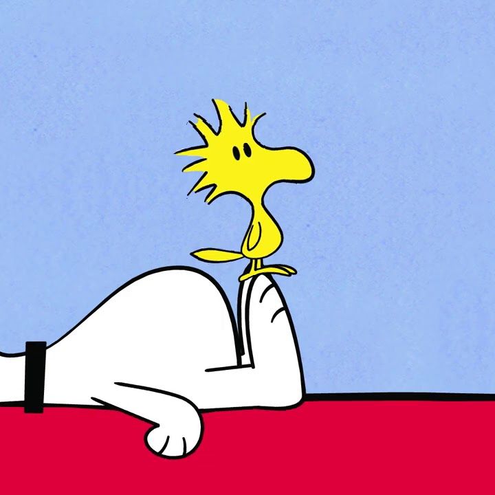 Profile of Brendan Adamski