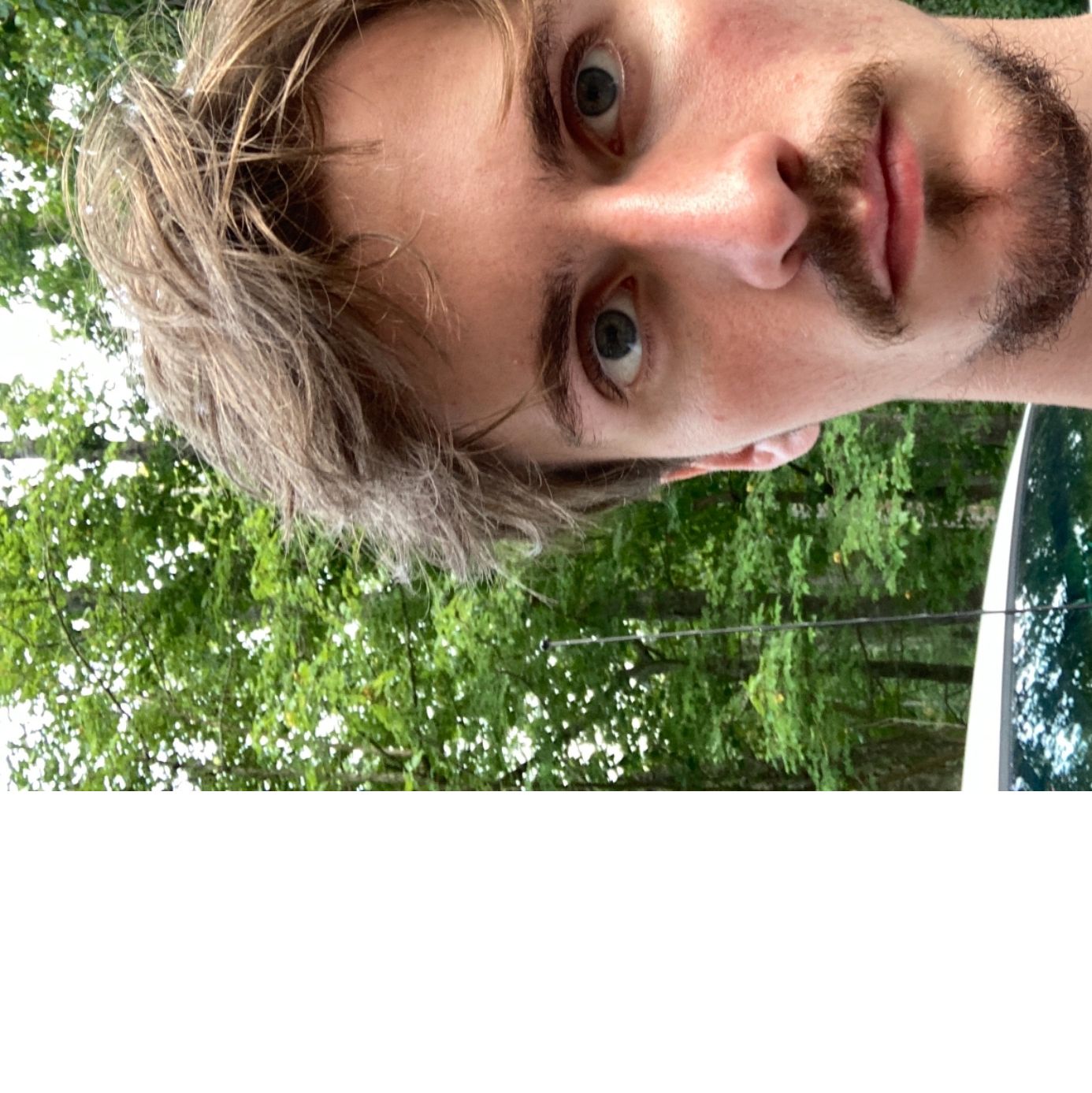 Profile of Gabriel Seeger