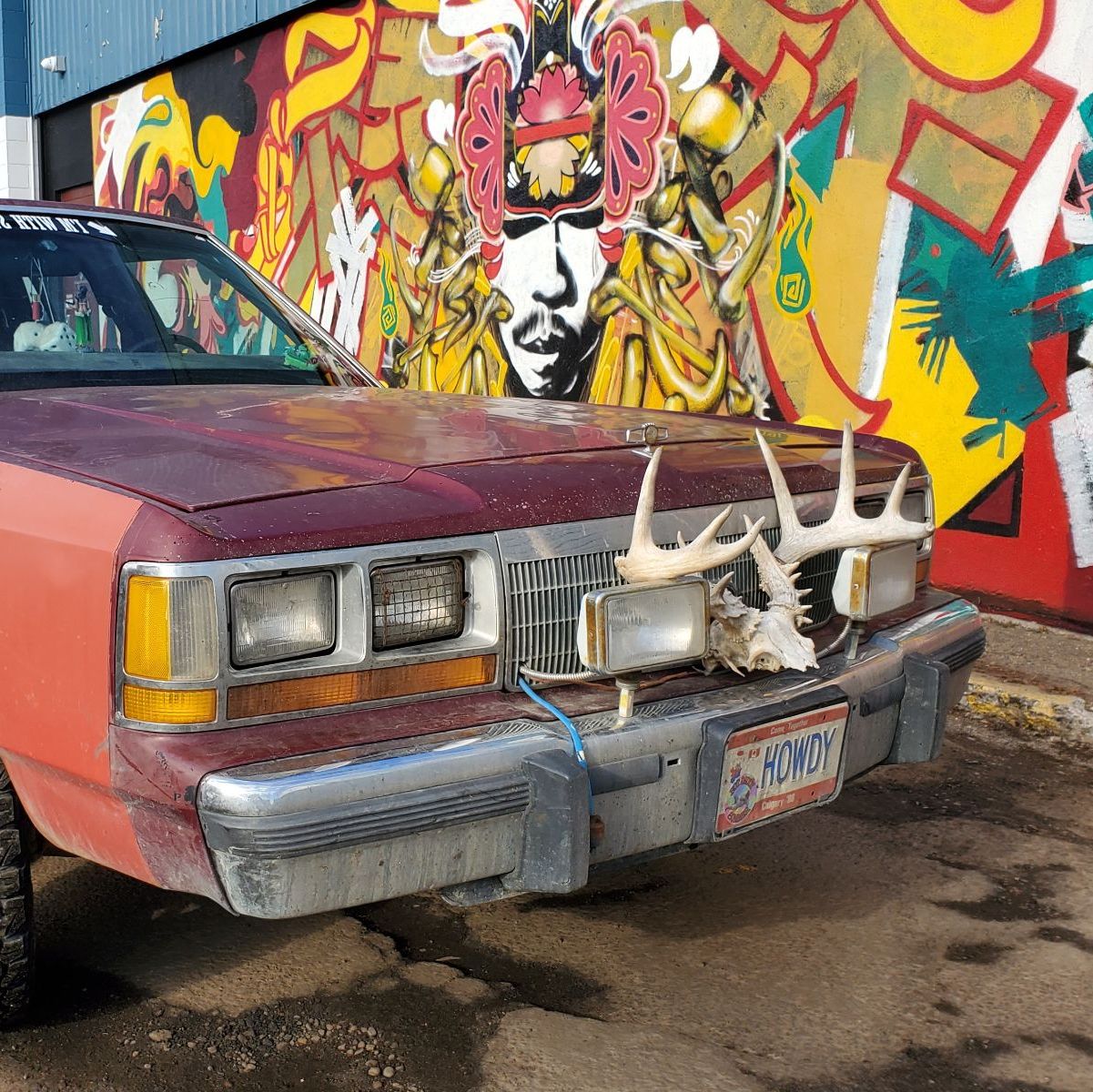 Profile of Daniel Sardachuk