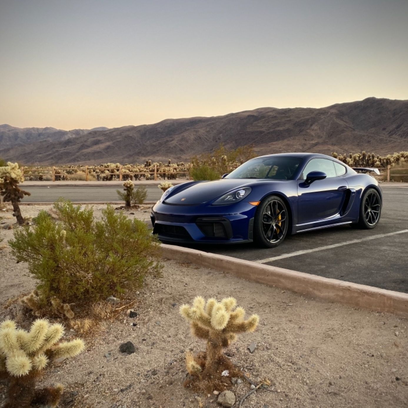 Profile of DUANE CRONIN