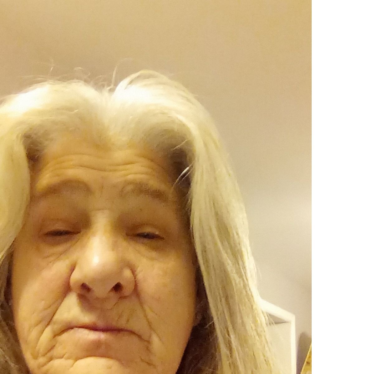 Profile of Dianne Bos