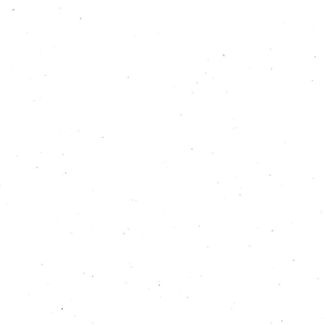 Profile of Roy El Timani