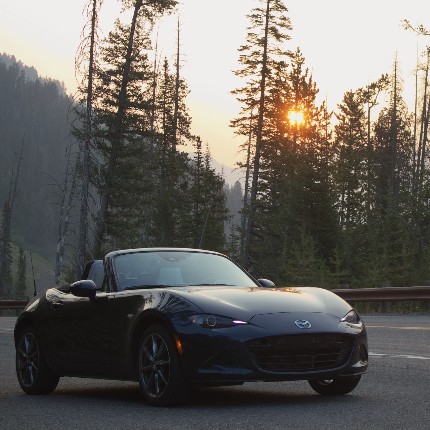 Profile of Dylan McKibbins