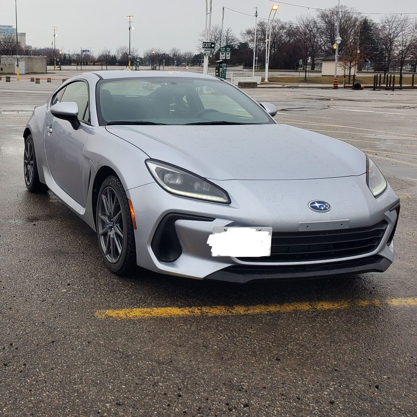 Profile of Alton Palmero