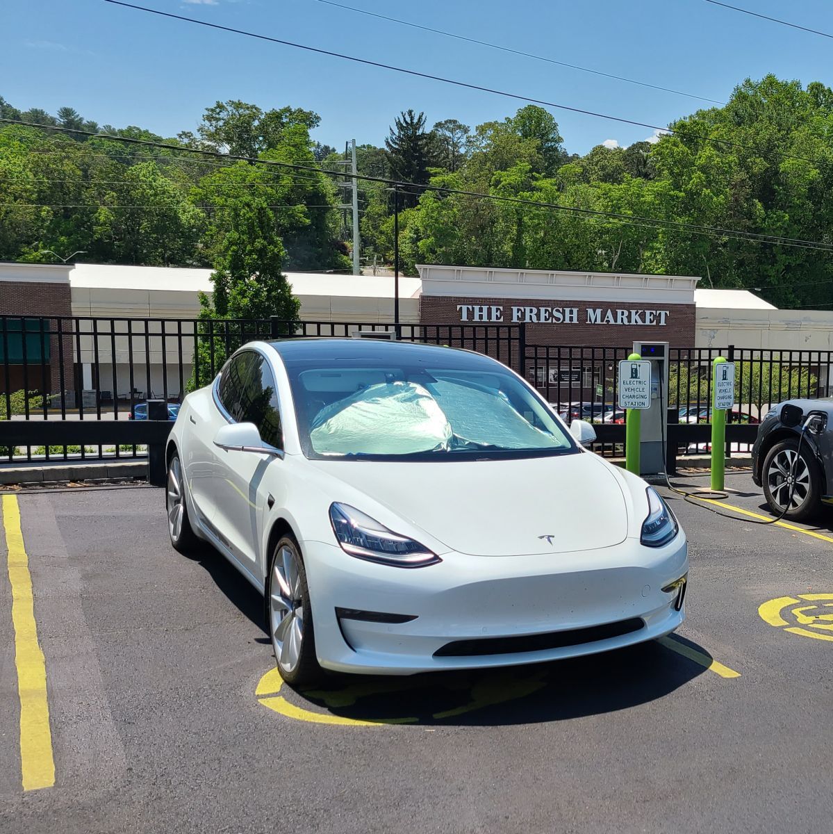 Profile of James Pollock