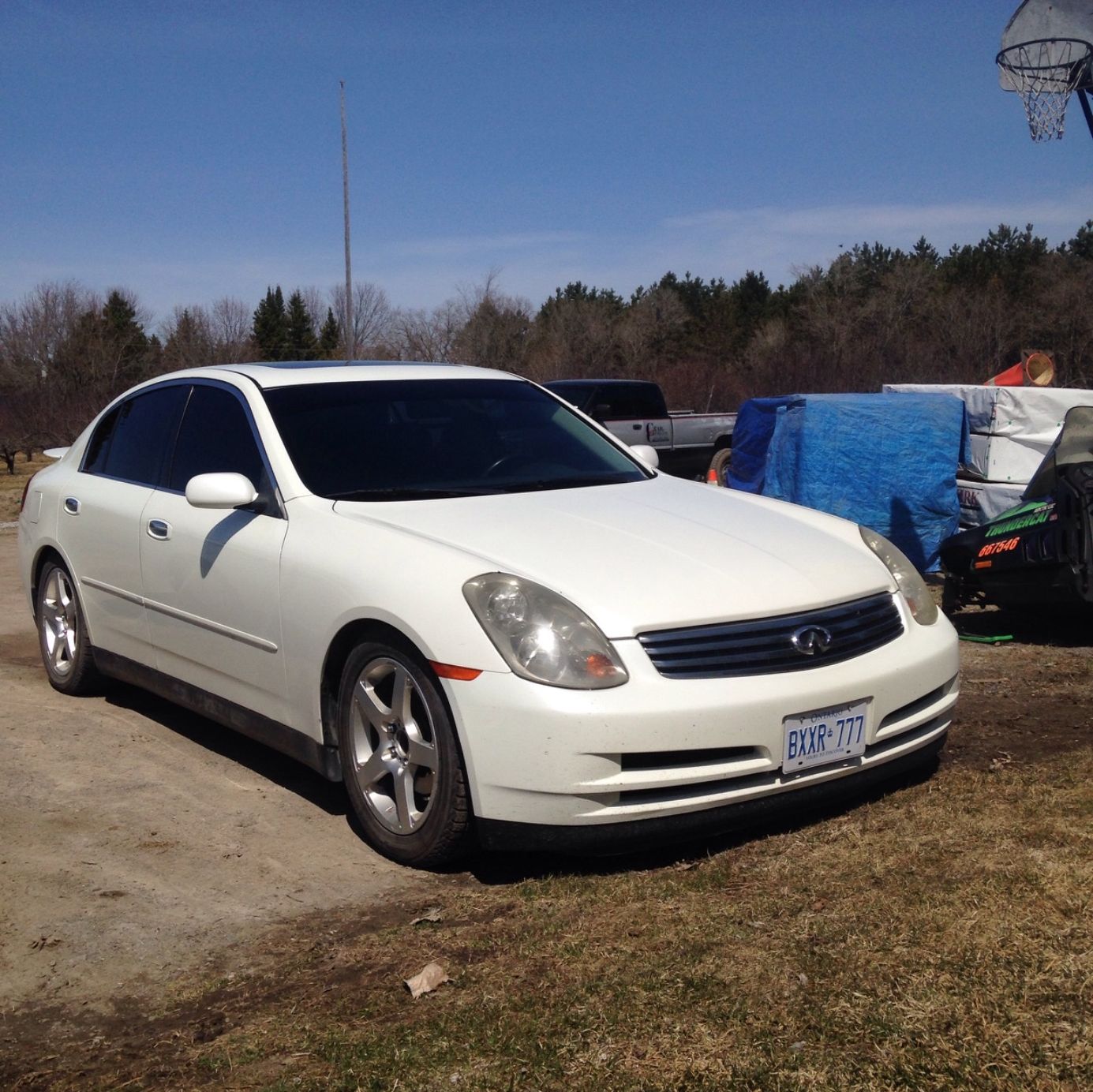 Profile of Danny Ventura