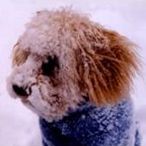 Profile of Fred Ferguson