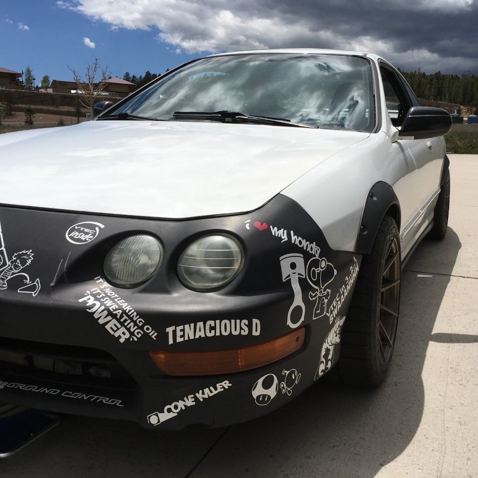 Profile of Matt Dodson