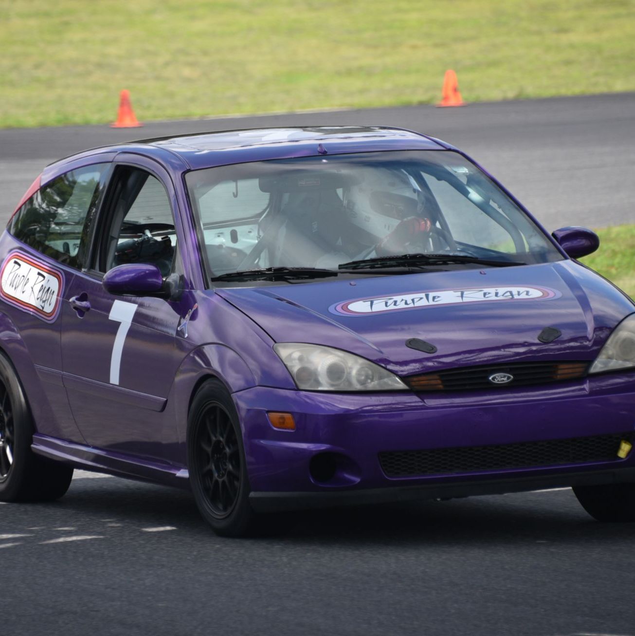 Profile of Purple Reign T