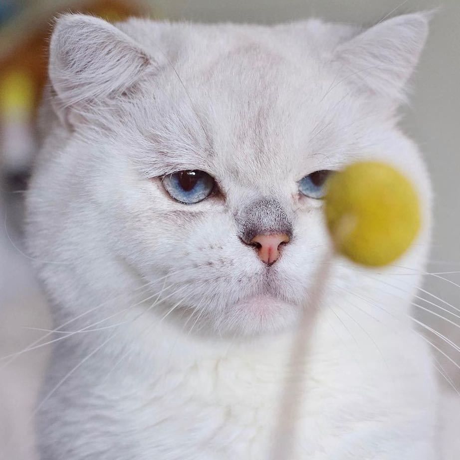 Profile of HuiLong Tan