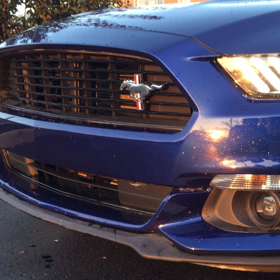 Profile of Anton Habsburg