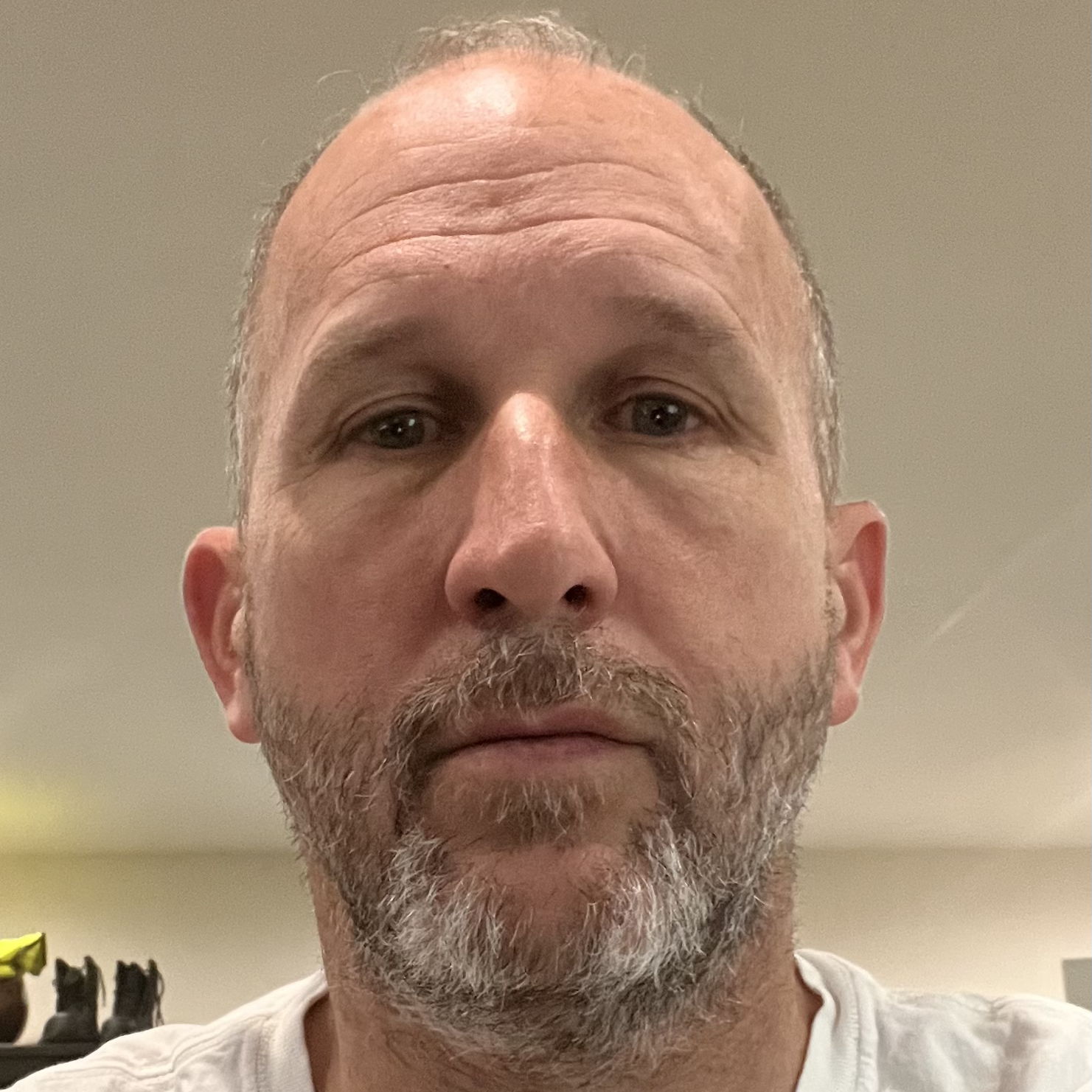 Profile of Shawn O'Brien