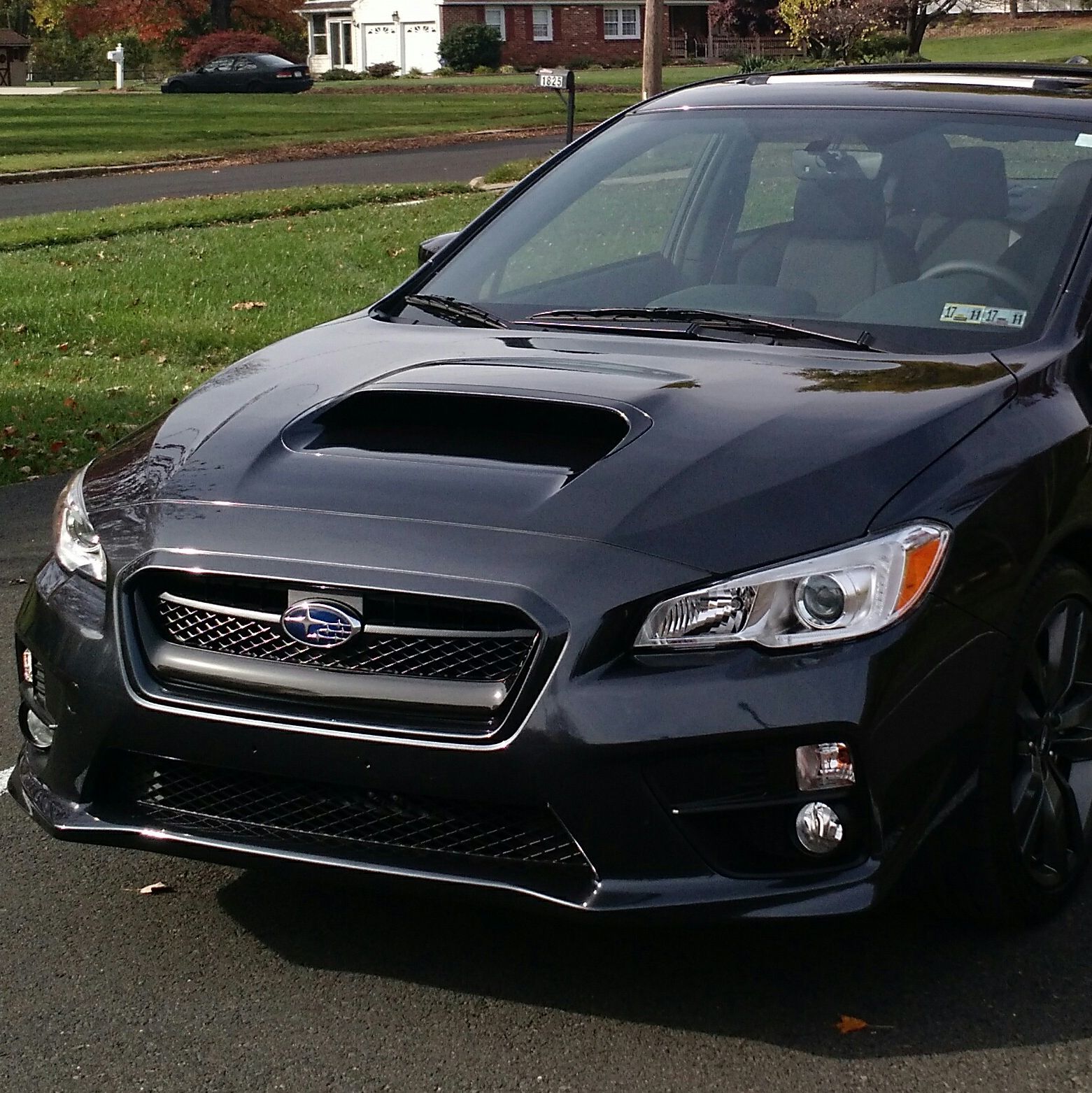 Profile of Matt Craig