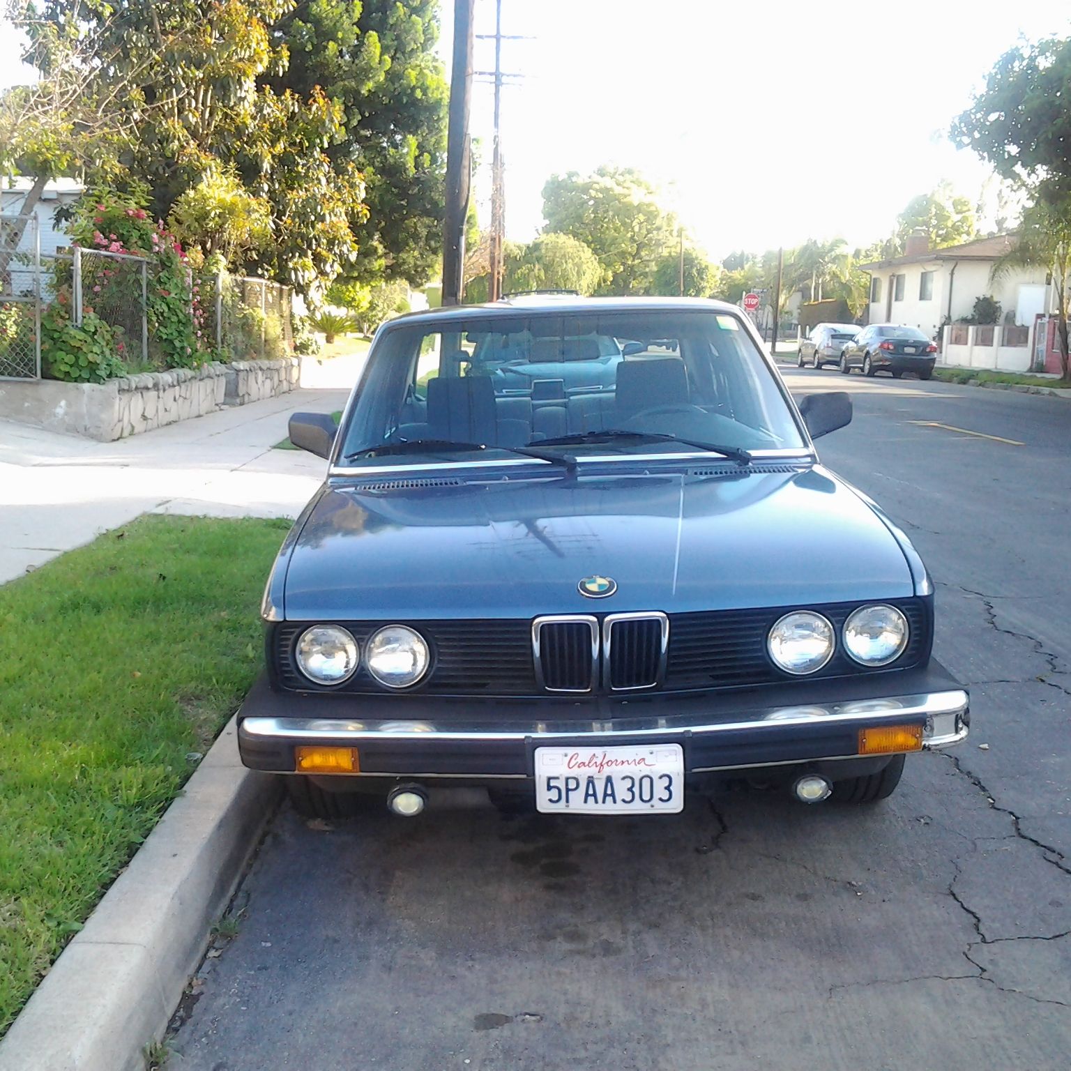 Profile of Raul Marin