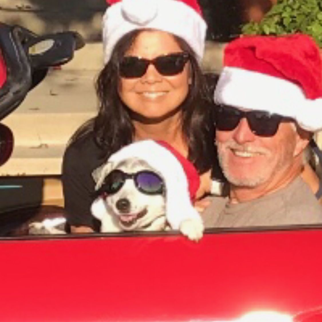 Profile of Jeff Stacy