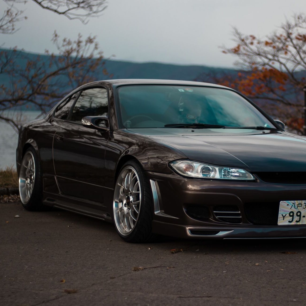 Profile of Timothy Boston