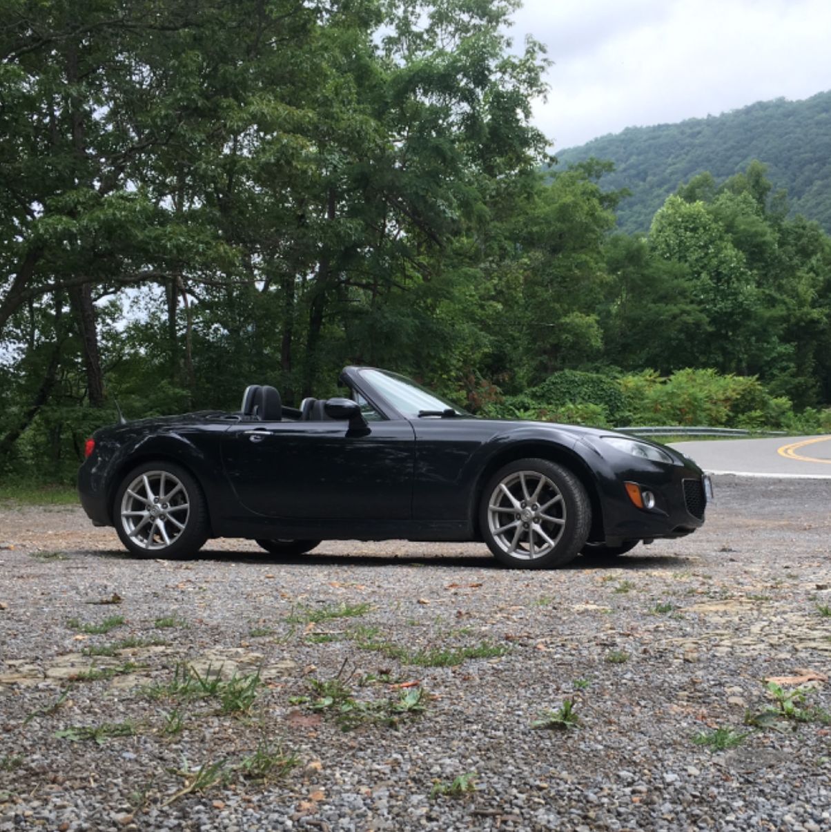 Profile of Shawn Cowan