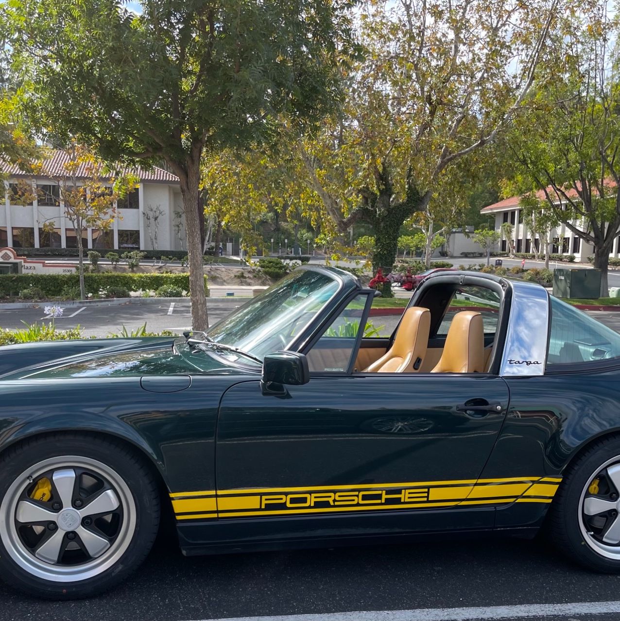 Profile of Hassan Ezz