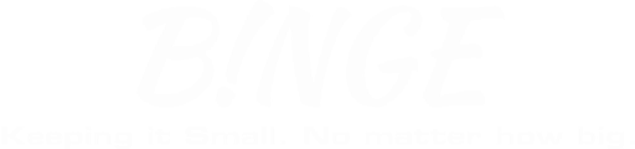 Binge Track Days logo