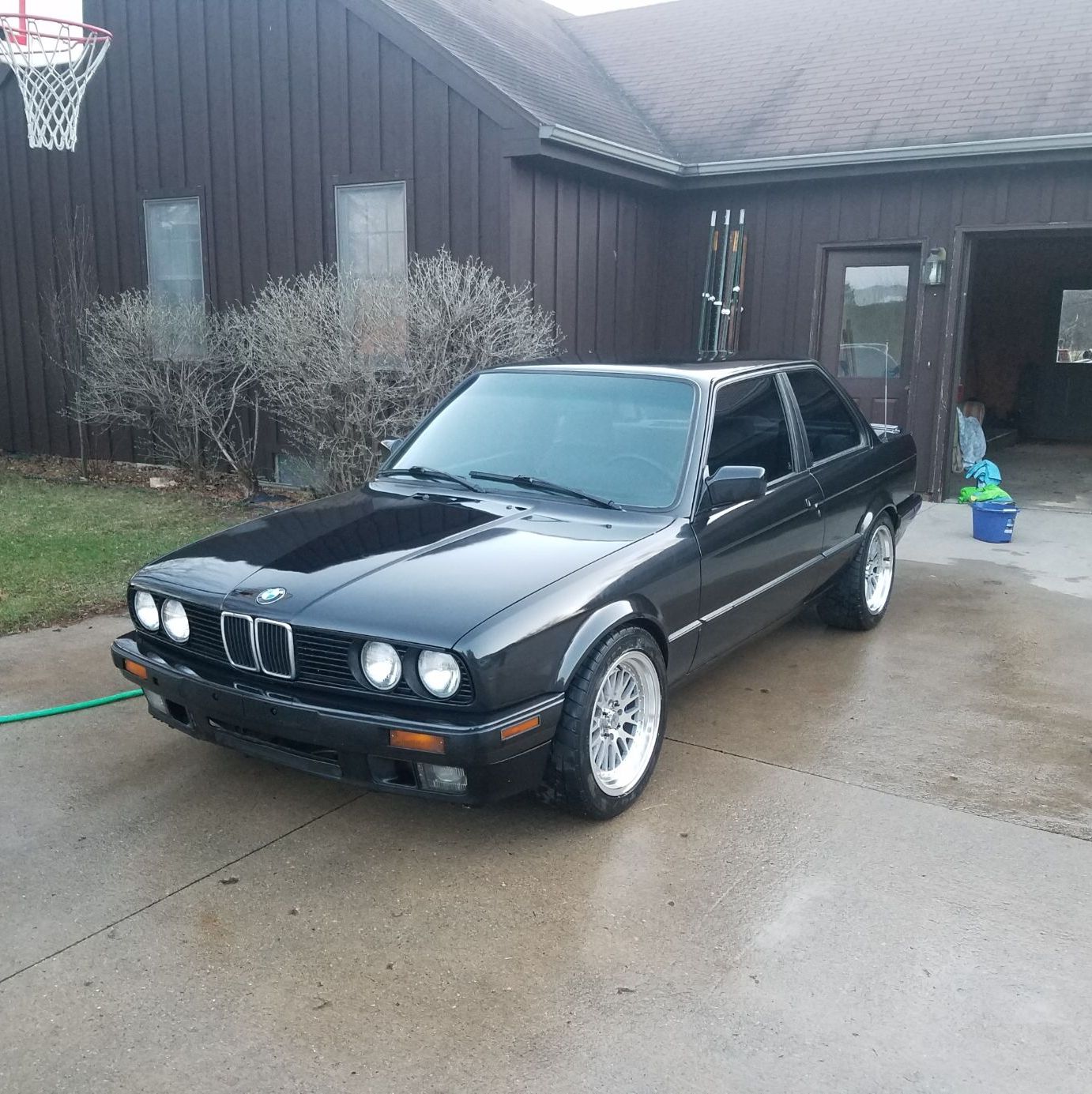 Profile of Michael Allen