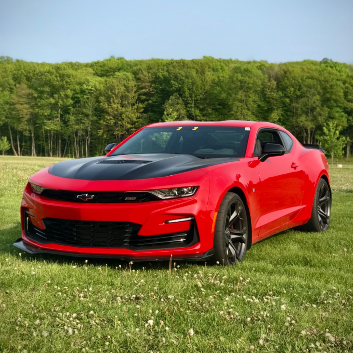 Profile of Austin Burton