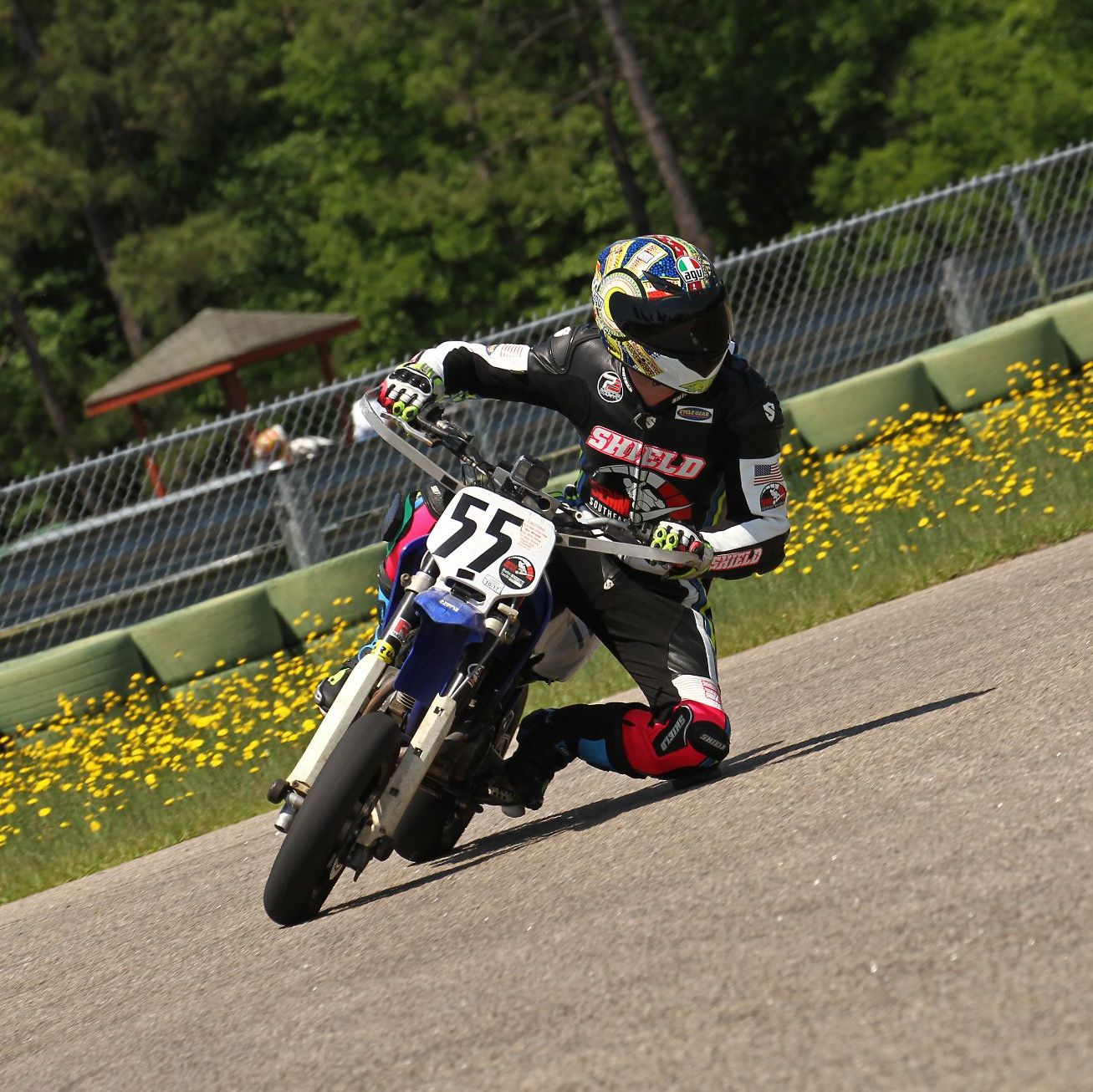 Profile of Josh Pitts