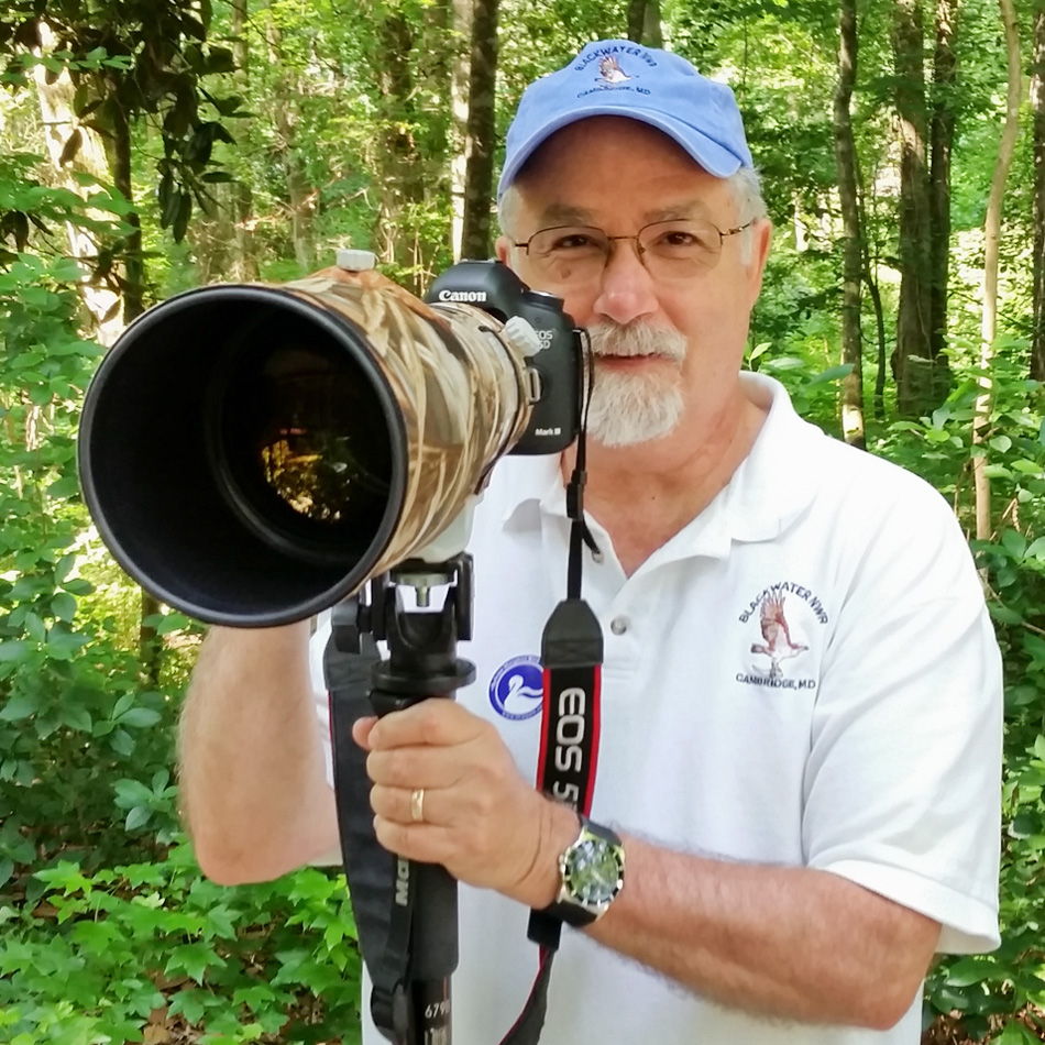 Profile of Jack Nevitt