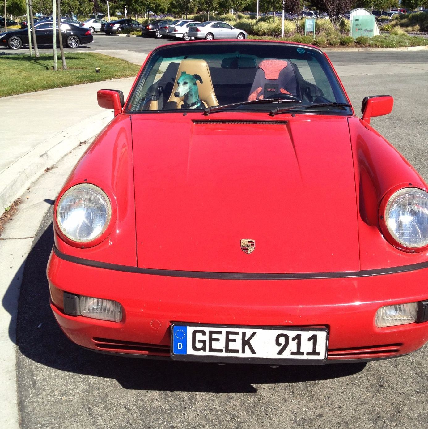 Profile of Anthony Mendoza