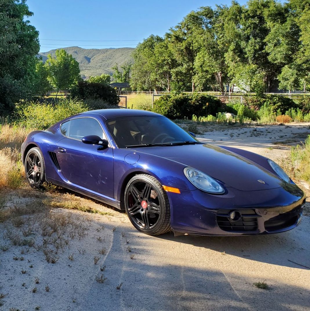 Profile of Sean Dixon