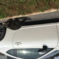 Profile of Ian Logan