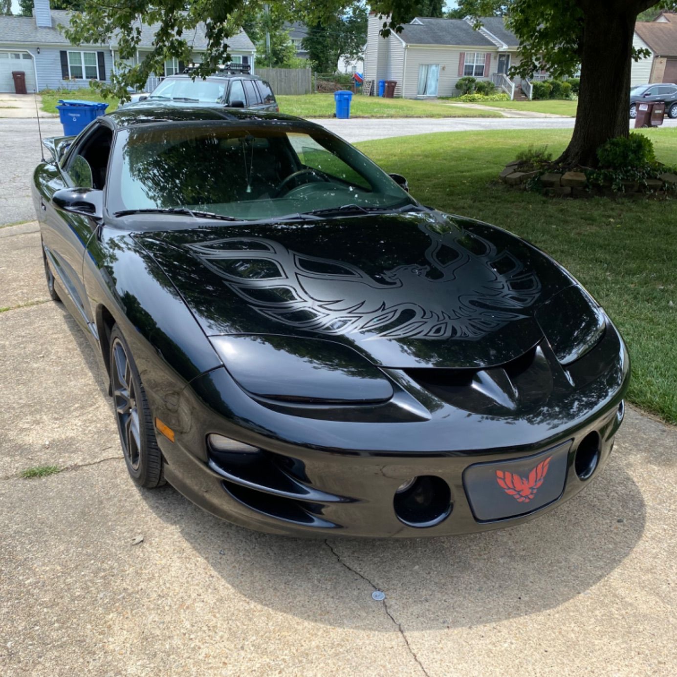 Profile of Brandon Hutt