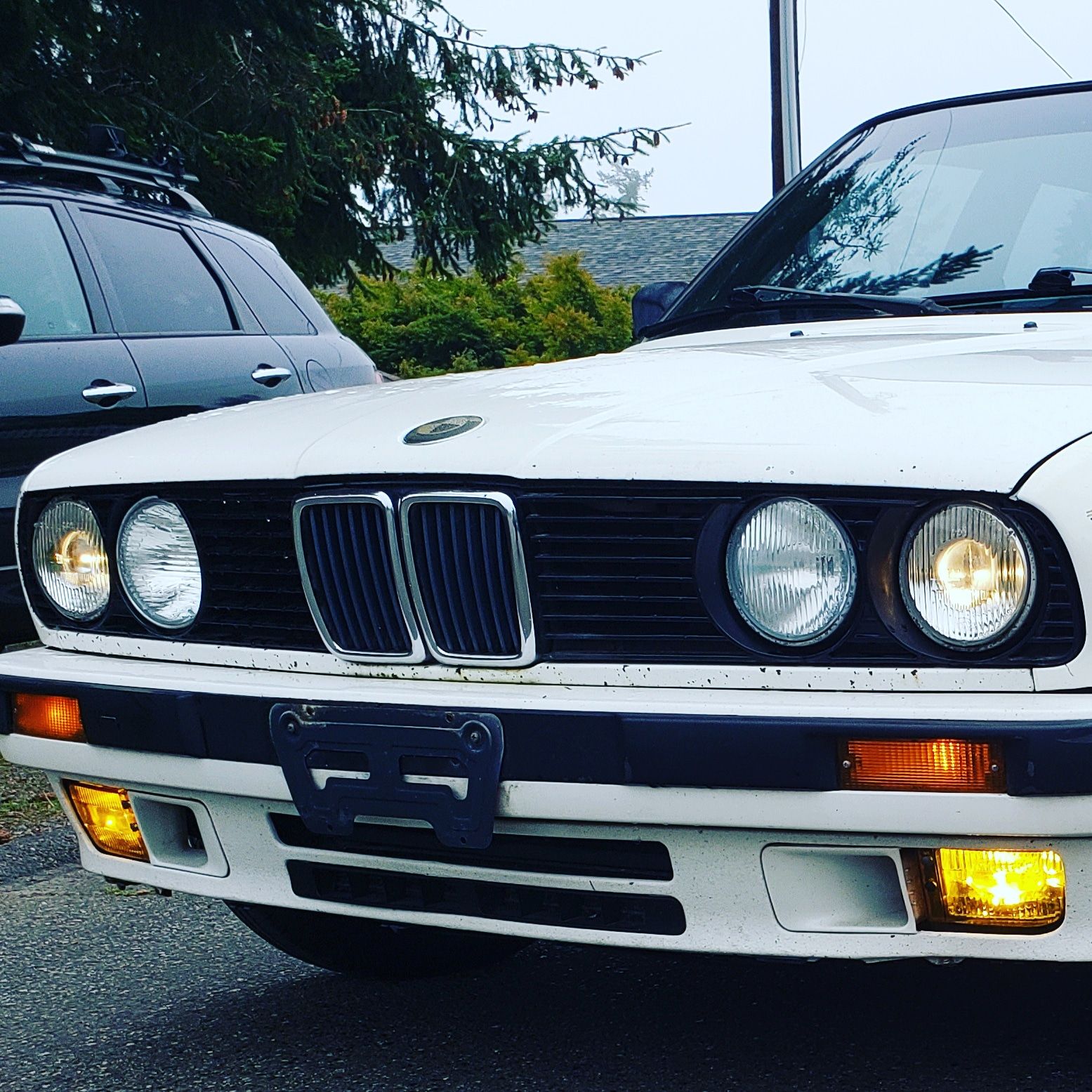 Profile of Jonah Palomo