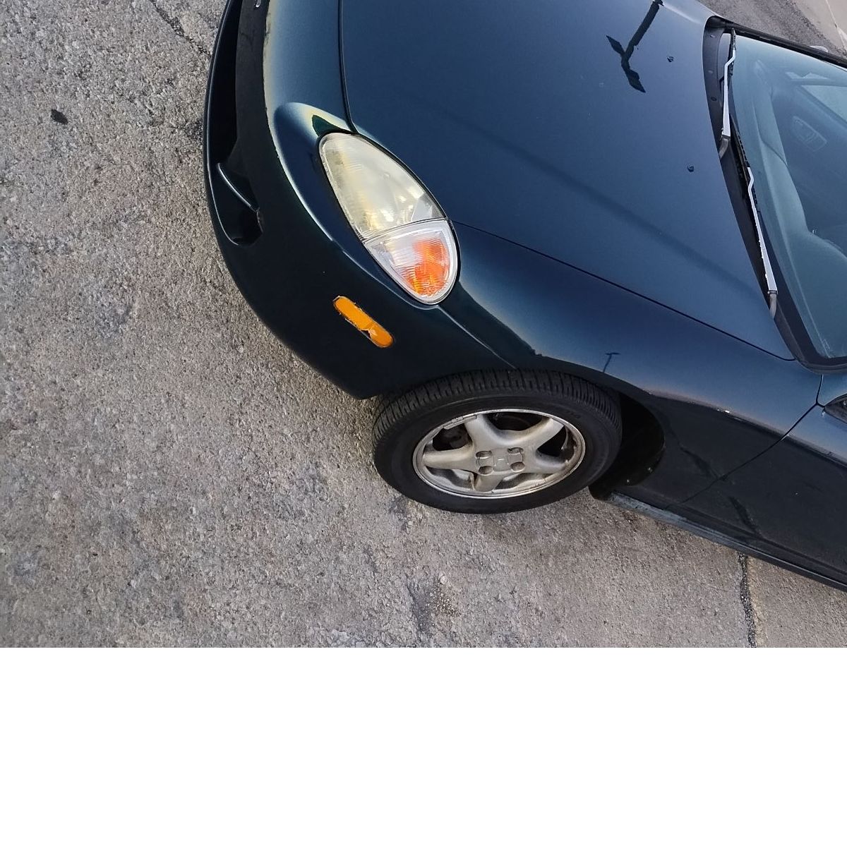 Profile of Zane Daniel