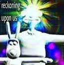 Profile of Tristan White