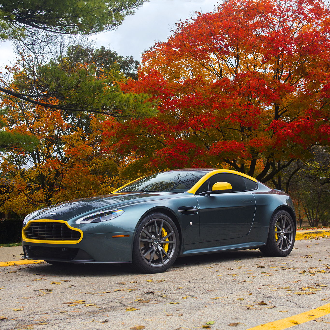 Profile of Randy Sherwood