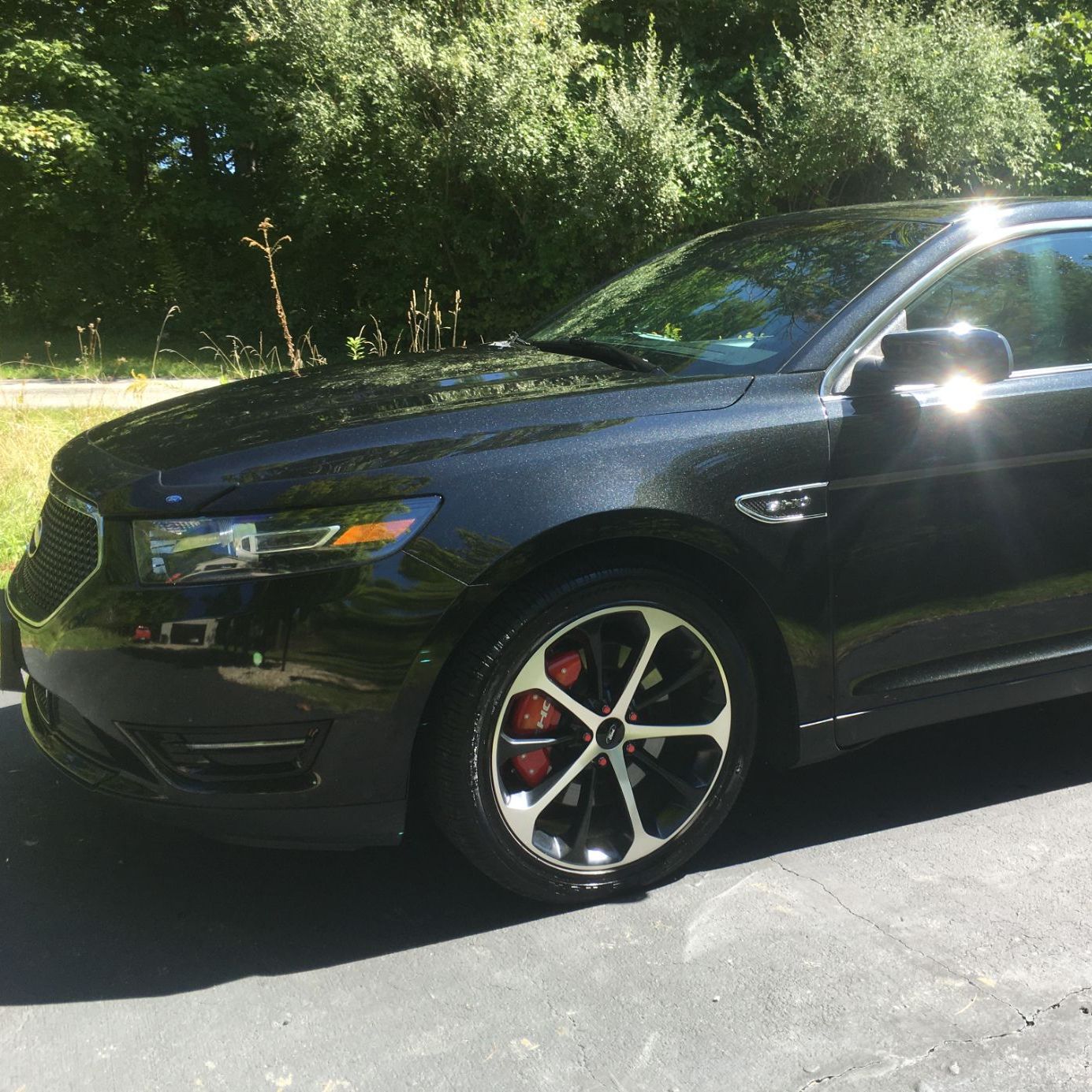 Profile of Will Fotheringham