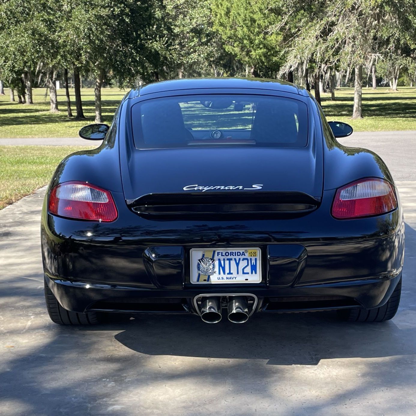 Profile of Alvah MacDougall