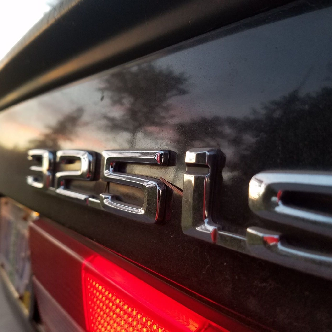 Profile of Burt Marshall