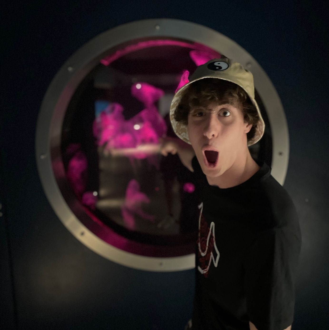 Profile of Joe Templeton