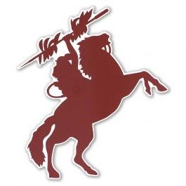 Profile of Team Renegade Racing