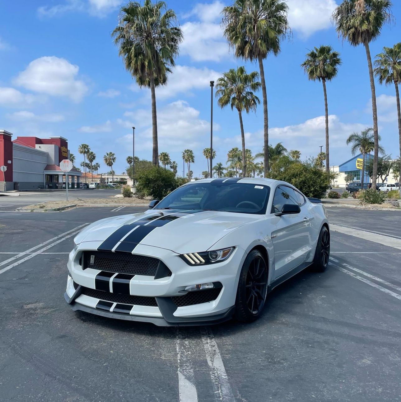 Profile of Royce VanHoove