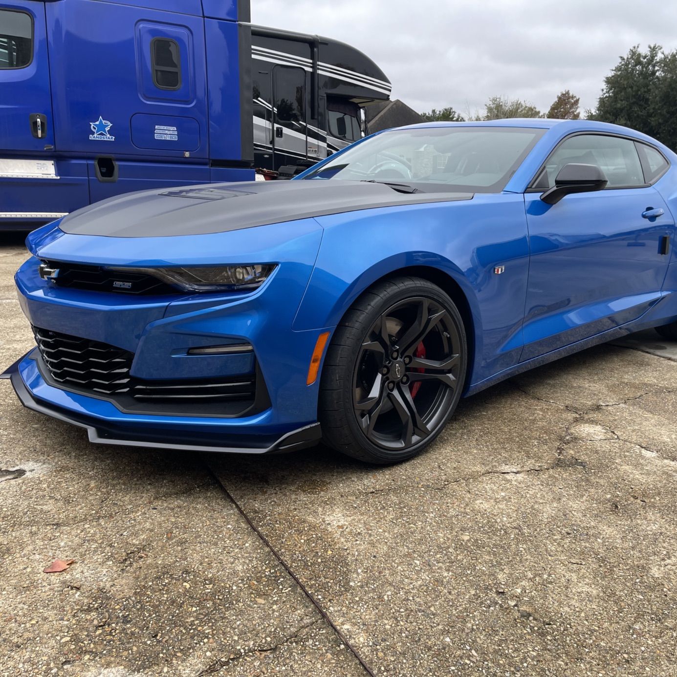 Profile of Terri Neuville