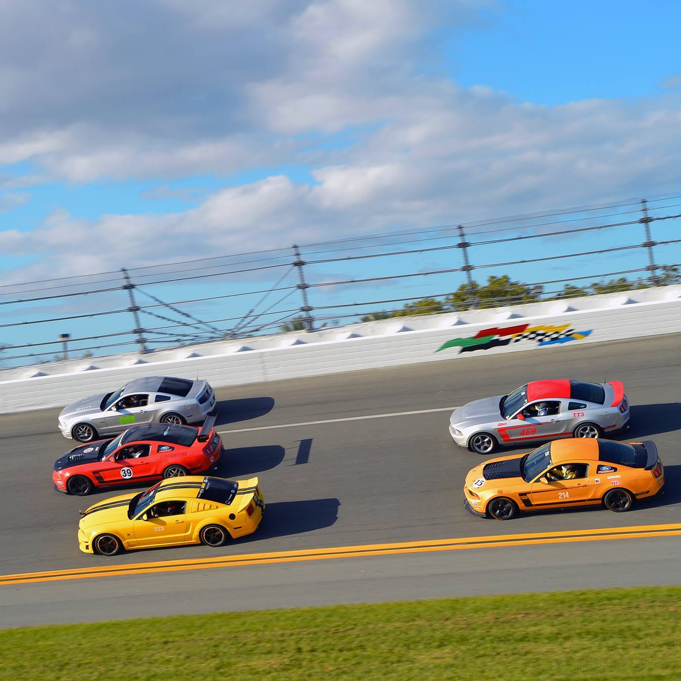 Profile of John Strauss