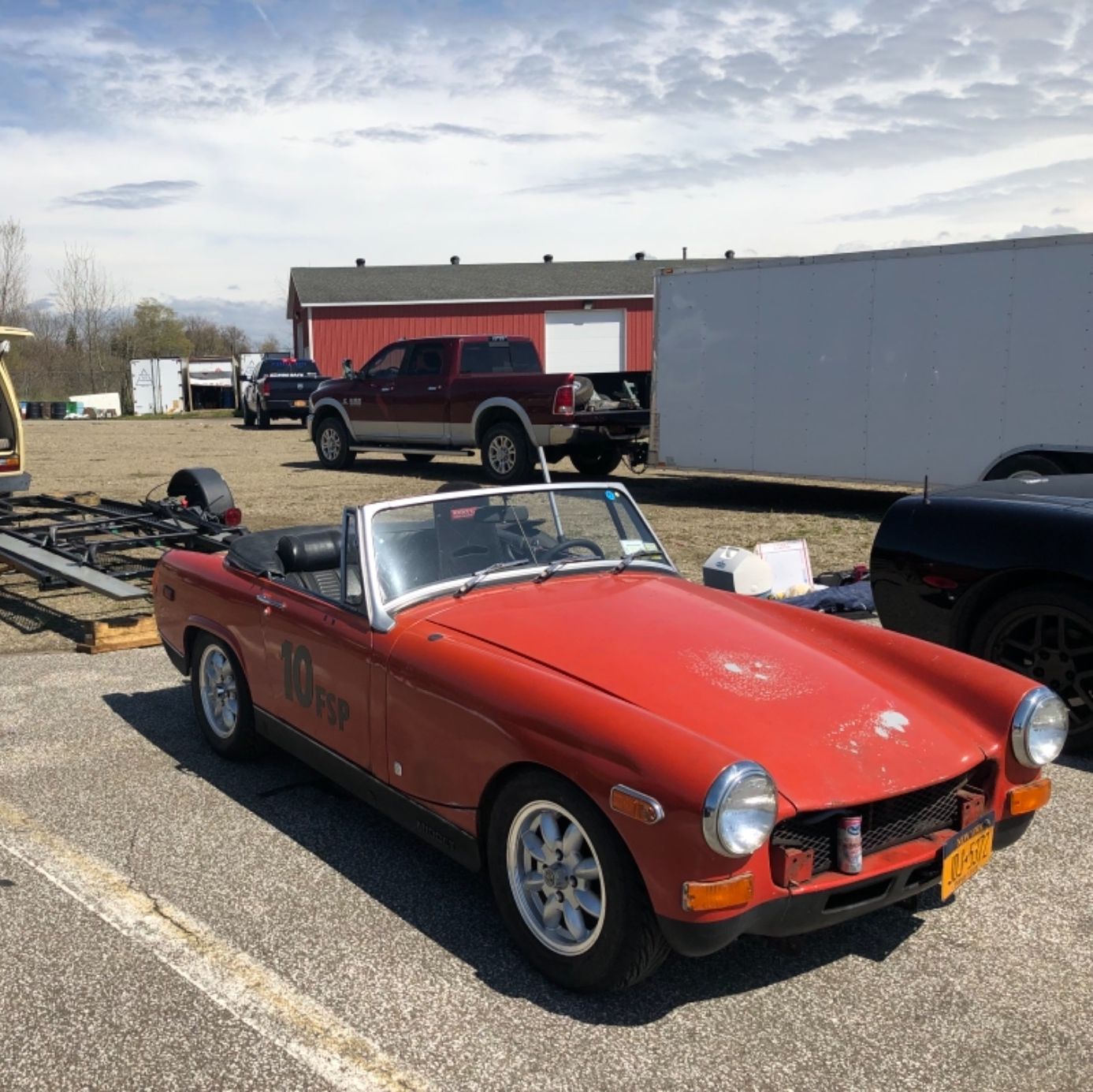 Profile of Tony Scime